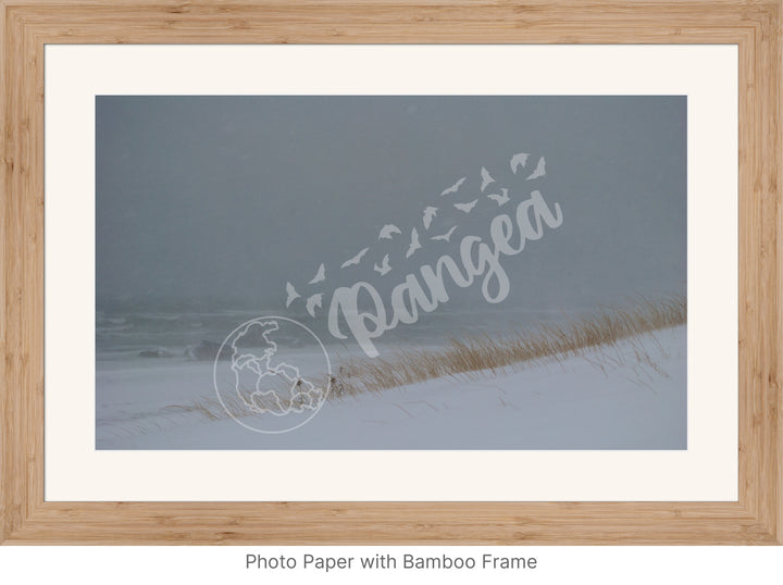 Wall Art: Blizzard at the Beach