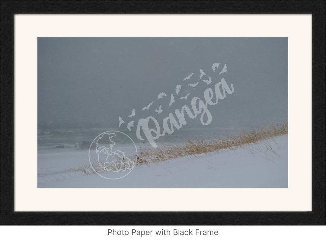 Wall Art: Blizzard at the Beach