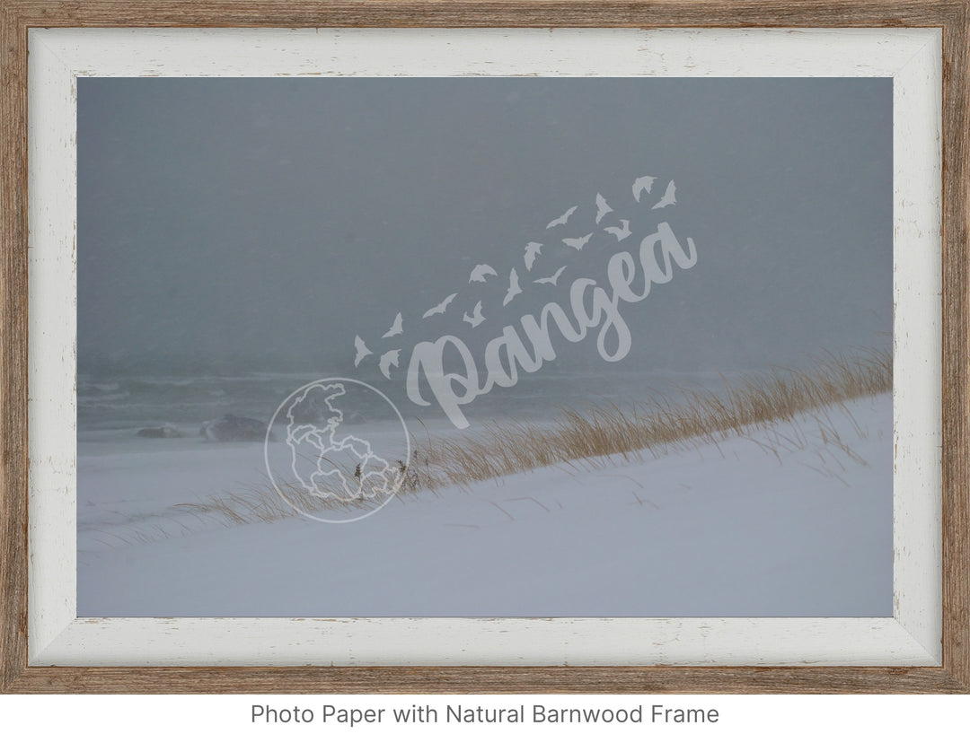 Wall Art: Blizzard at the Beach