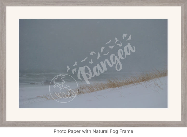 Wall Art: Blizzard at the Beach