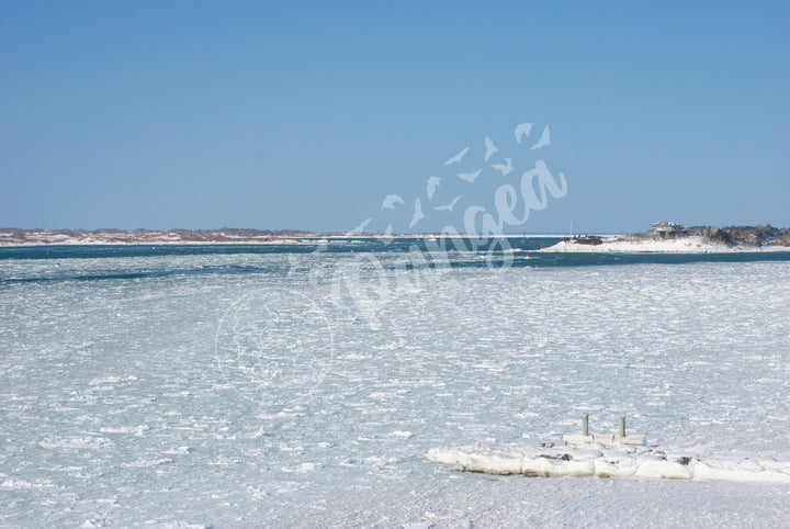 Wall Art: Woods Hole Ice Flows