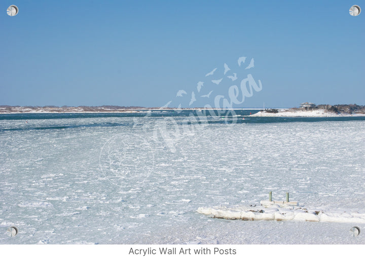 Wall Art: Woods Hole Ice Flows