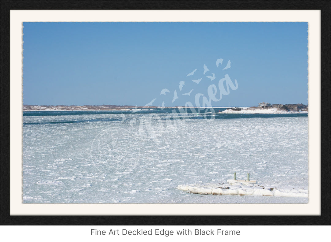 Wall Art: Woods Hole Ice Flows