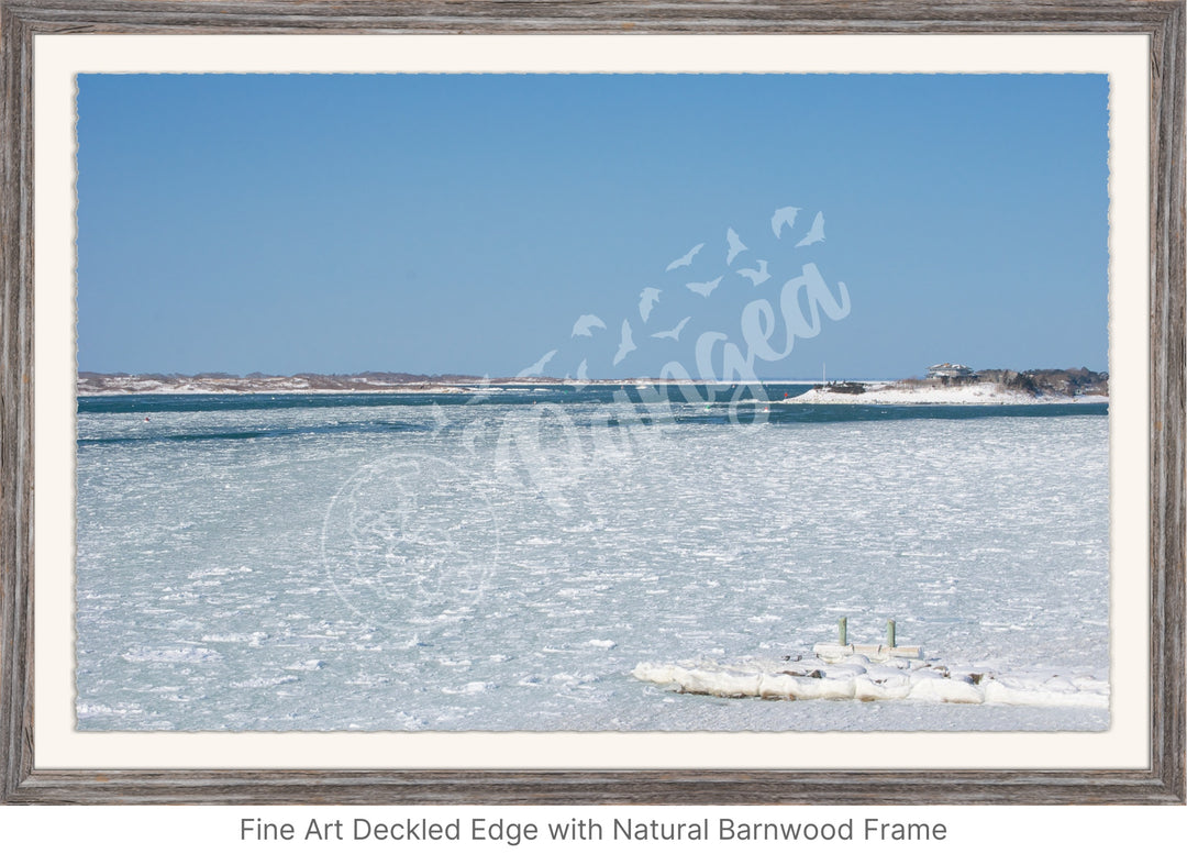 Wall Art: Woods Hole Ice Flows