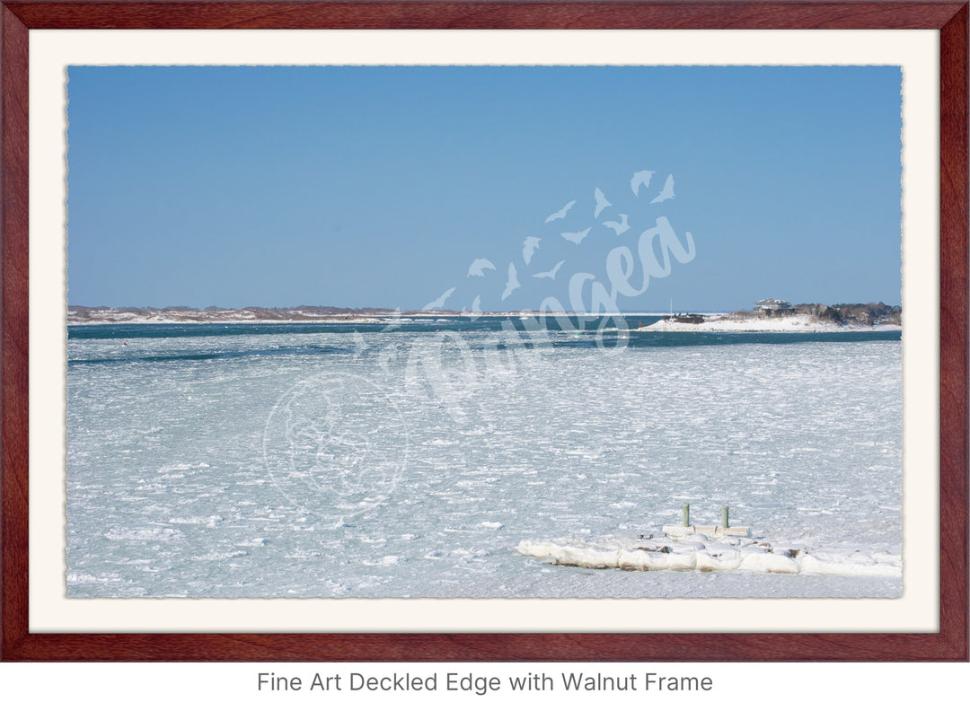 Wall Art: Woods Hole Ice Flows