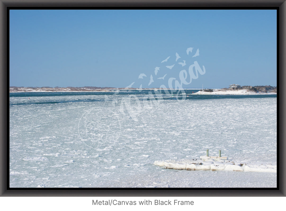 Wall Art: Woods Hole Ice Flows