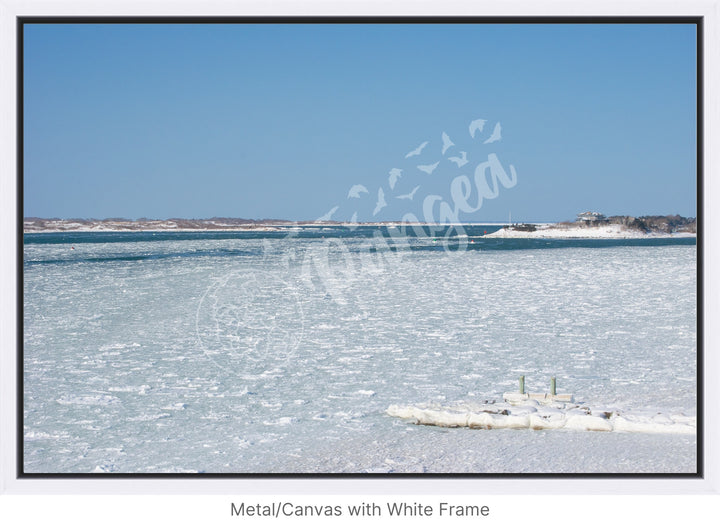 Wall Art: Woods Hole Ice Flows