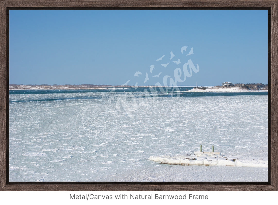 Wall Art: Woods Hole Ice Flows