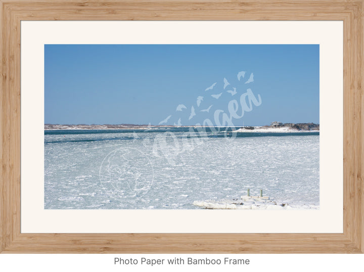 Wall Art: Woods Hole Ice Flows