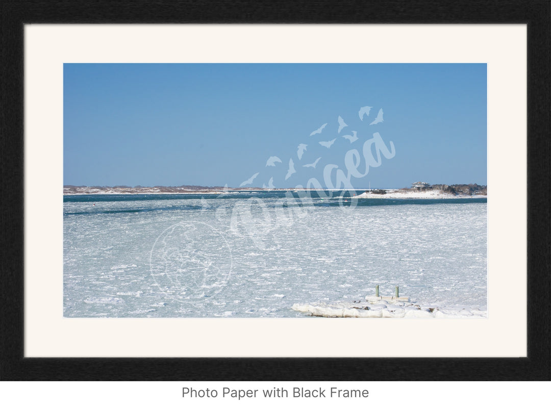 Wall Art: Woods Hole Ice Flows