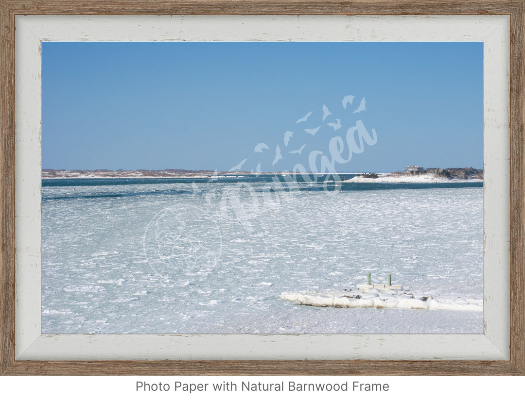 Wall Art: Woods Hole Ice Flows