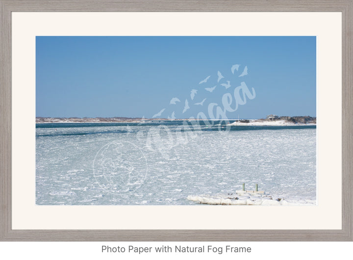 Wall Art: Woods Hole Ice Flows