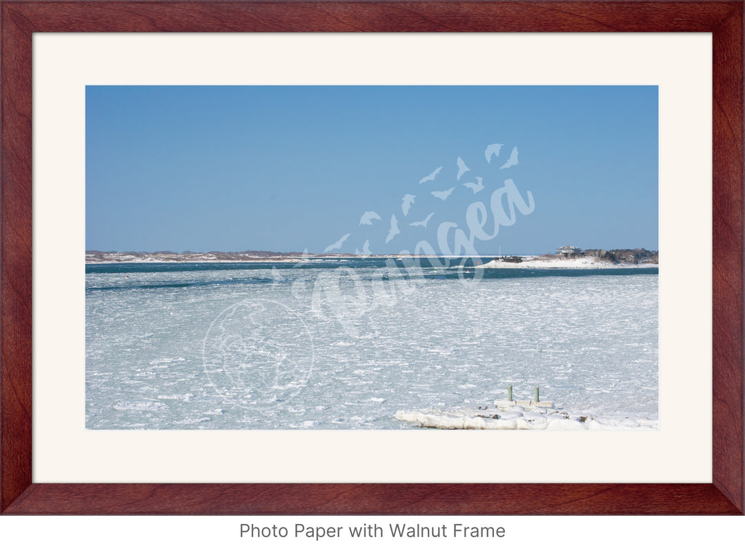 Wall Art: Woods Hole Ice Flows