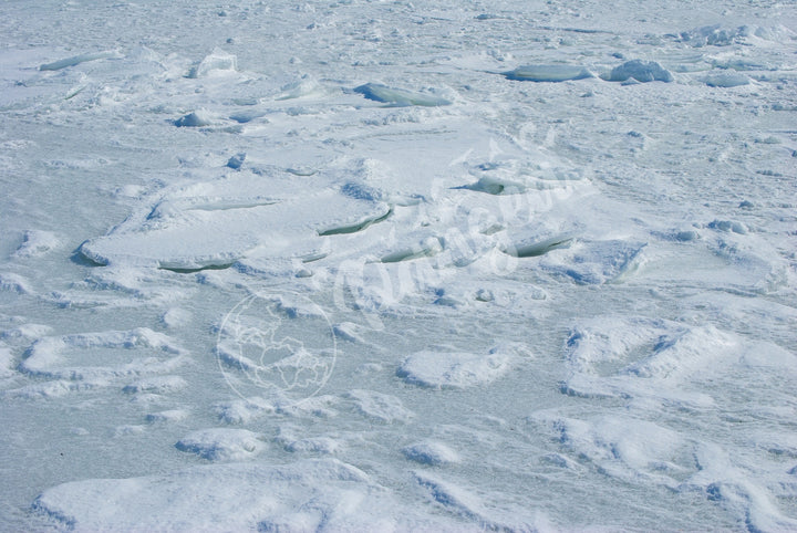 Wall Art: Cape Cod Sea Ice