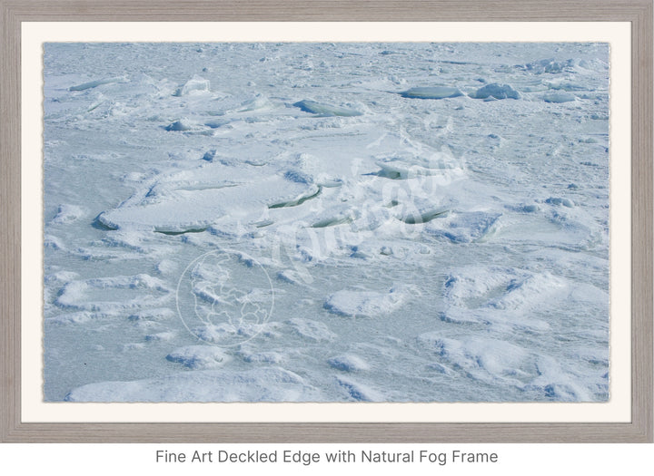 Wall Art: Cape Cod Sea Ice