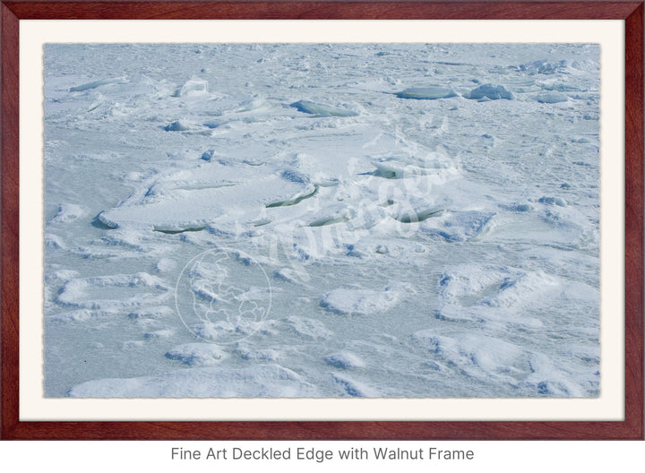 Wall Art: Cape Cod Sea Ice