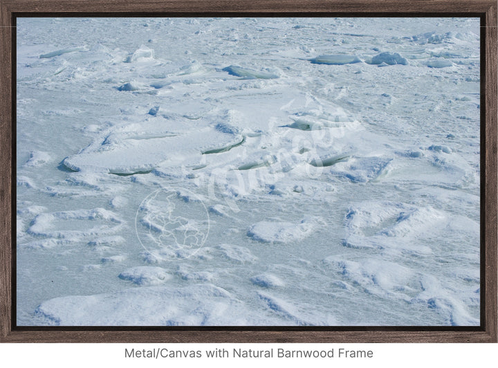 Wall Art: Cape Cod Sea Ice