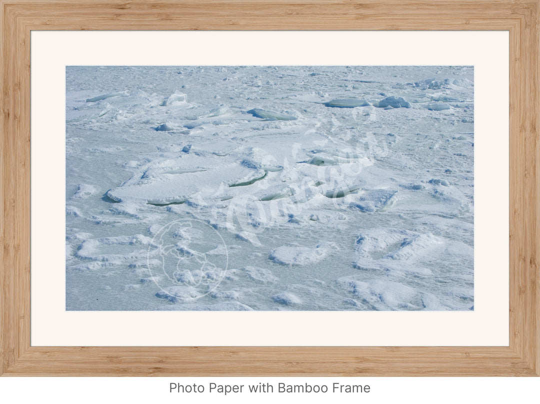 Wall Art: Cape Cod Sea Ice