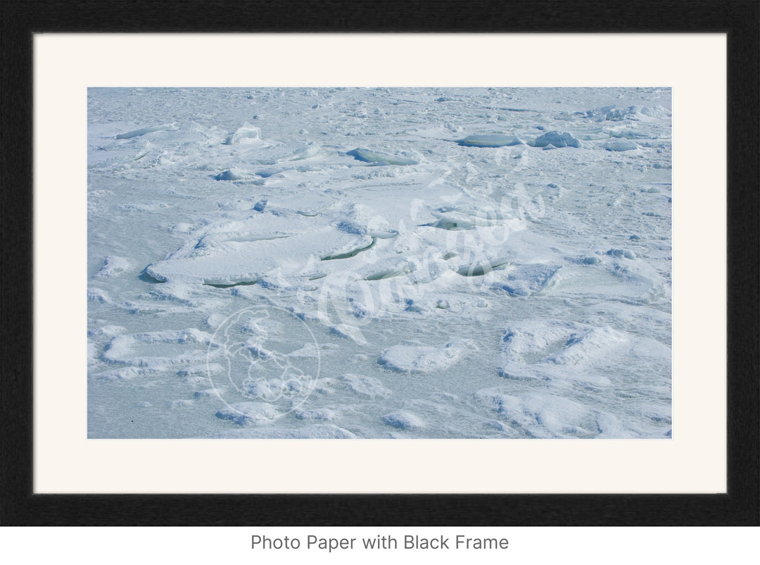 Wall Art: Cape Cod Sea Ice