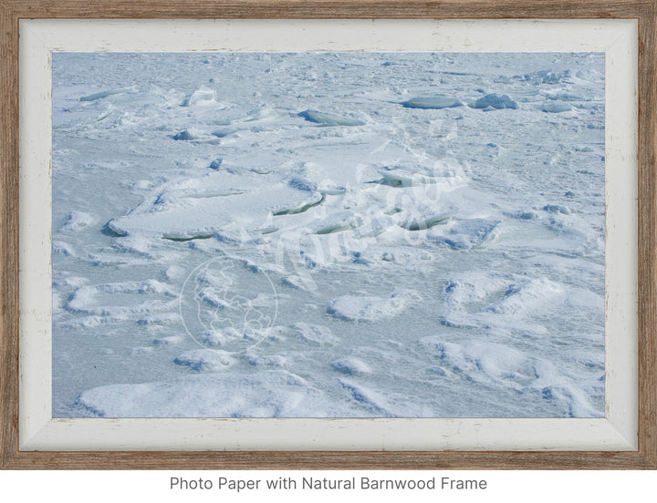 Wall Art: Cape Cod Sea Ice