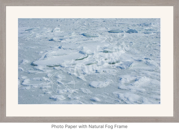 Wall Art: Cape Cod Sea Ice