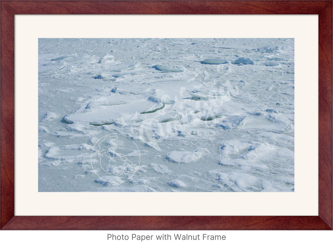 Wall Art: Cape Cod Sea Ice