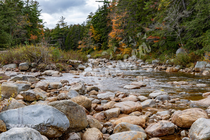 Wall Art: Fall Colors on the Swift River