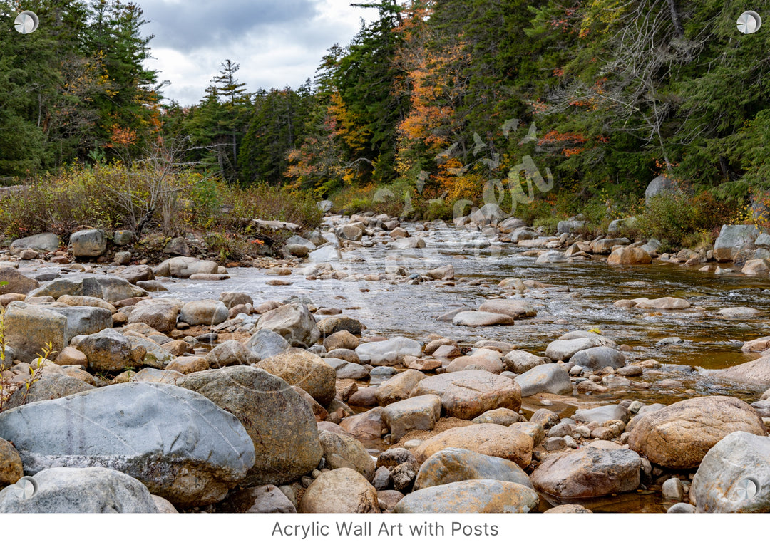 Wall Art: Fall Colors on the Swift River