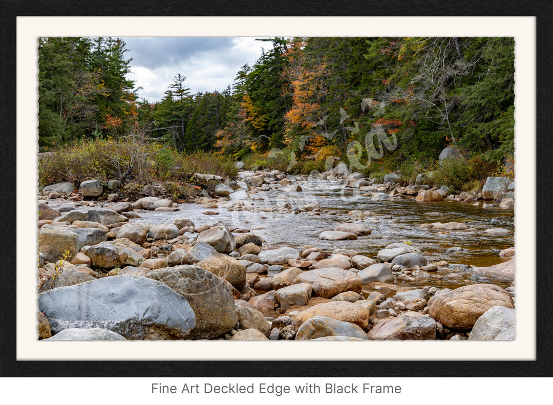 Wall Art: Fall Colors on the Swift River