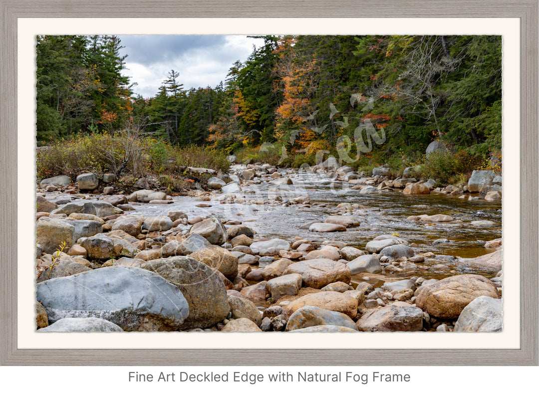 Wall Art: Fall Colors on the Swift River