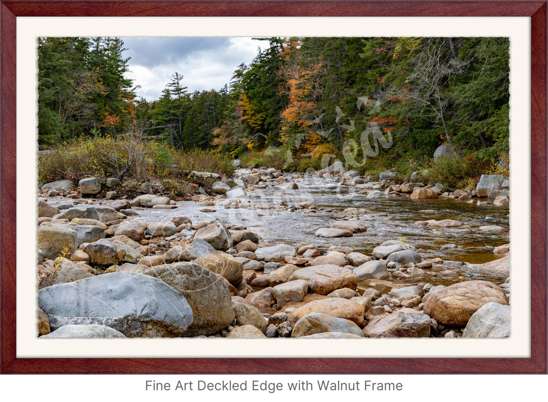 Wall Art: Fall Colors on the Swift River