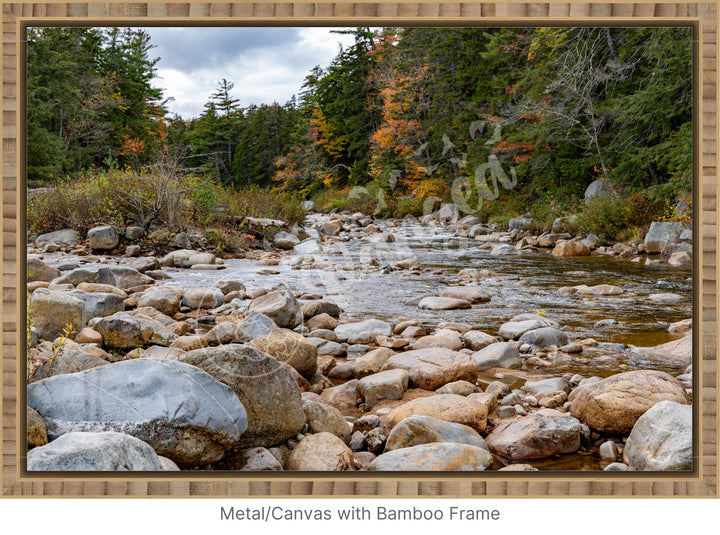 Wall Art: Fall Colors on the Swift River