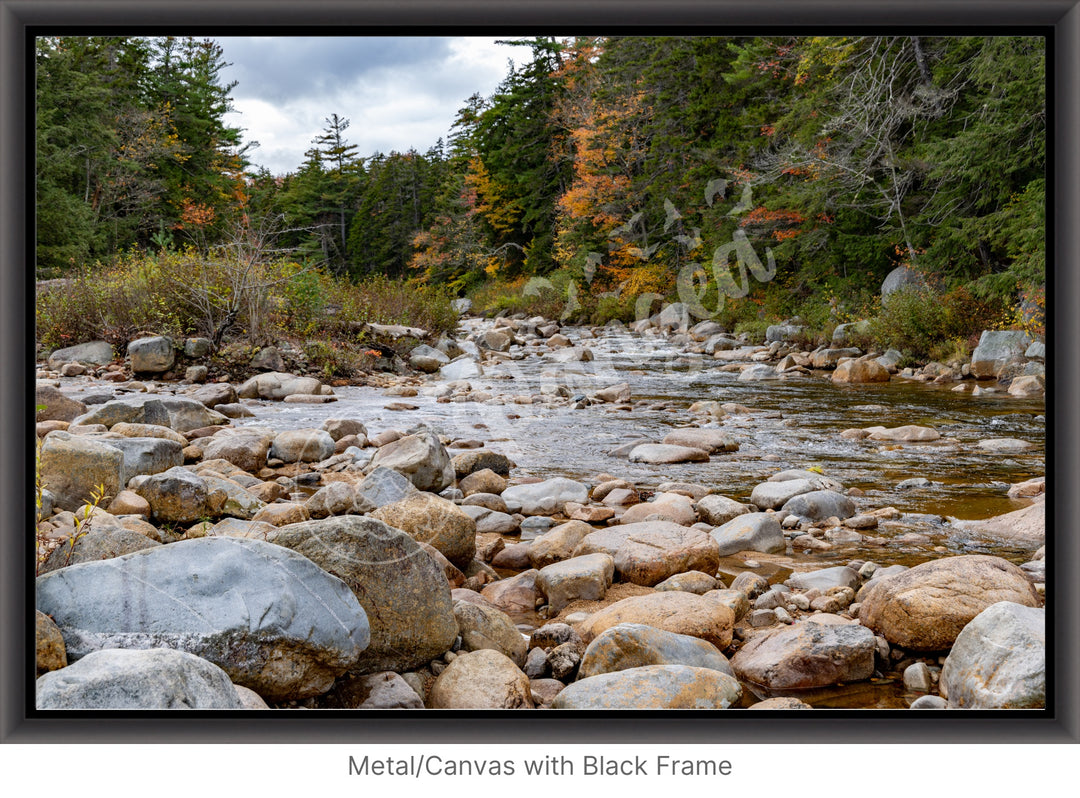 Wall Art: Fall Colors on the Swift River