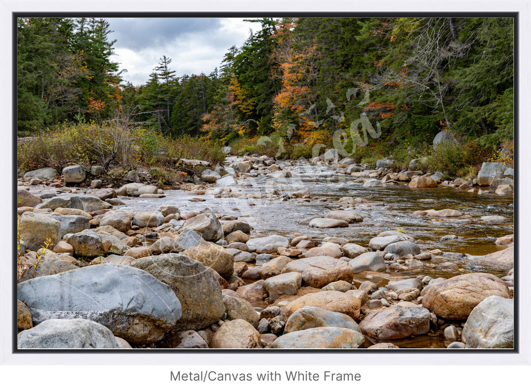 Wall Art: Fall Colors on the Swift River