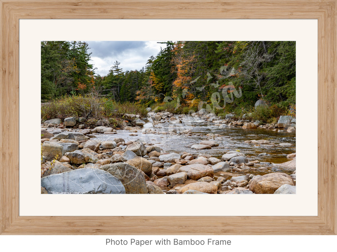 Wall Art: Fall Colors on the Swift River