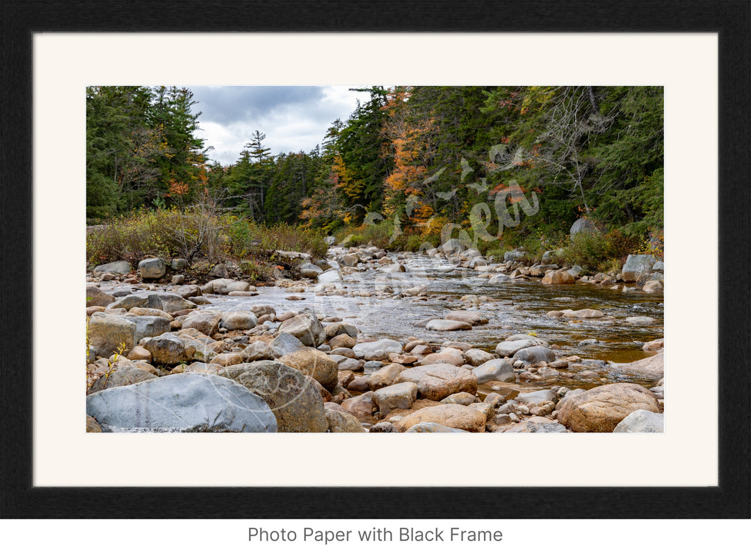 Wall Art: Fall Colors on the Swift River