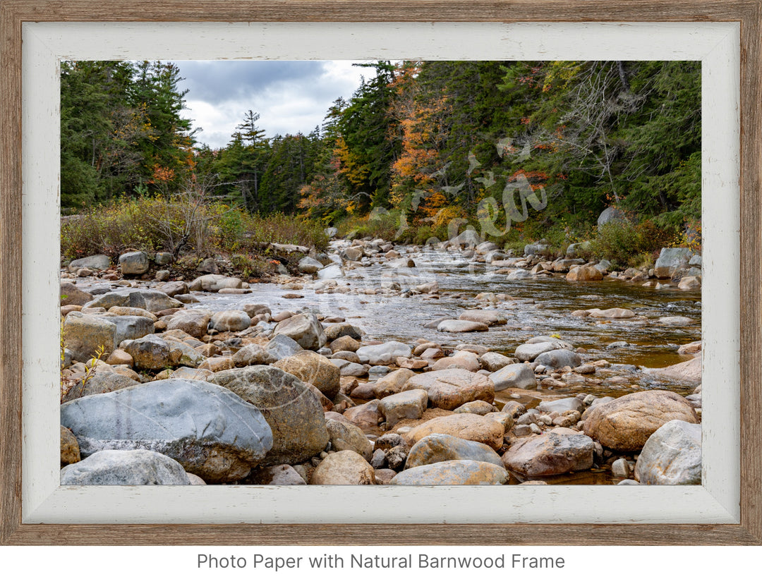 Wall Art: Fall Colors on the Swift River