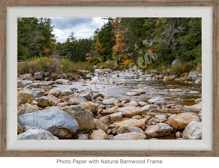 Wall Art: Fall Colors on the Swift River