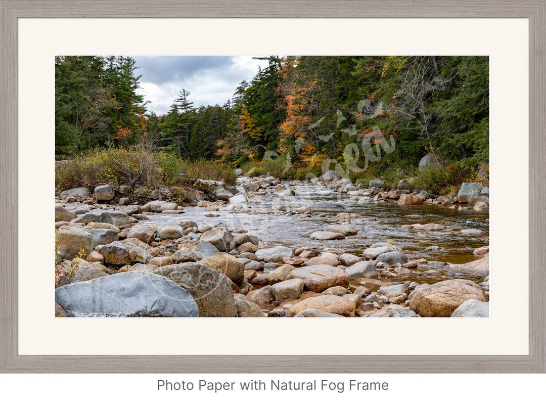 Wall Art: Fall Colors on the Swift River