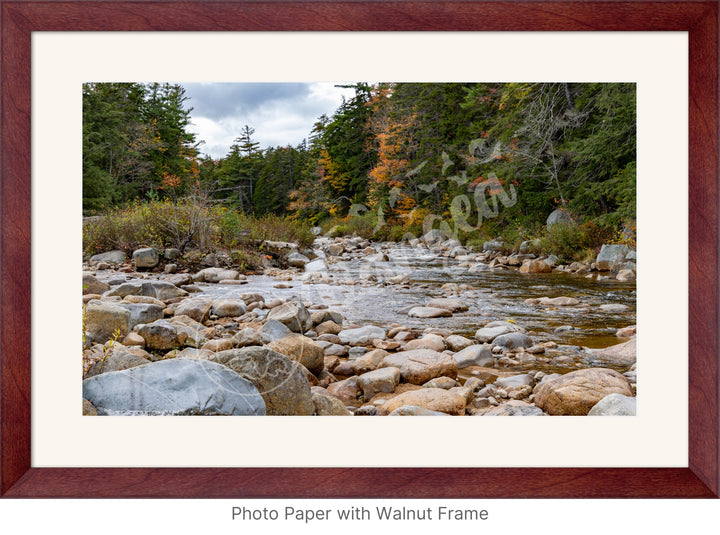 Wall Art: Fall Colors on the Swift River