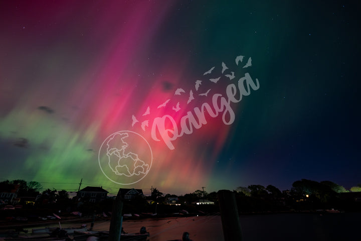 Wall Art: Dancing Aurora Borealis over Cape Cod