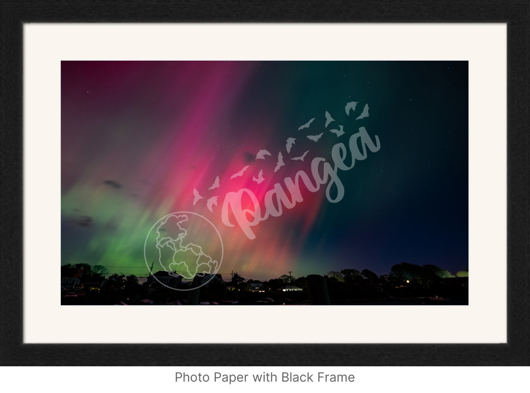 Wall Art: Dancing Aurora Borealis over Cape Cod