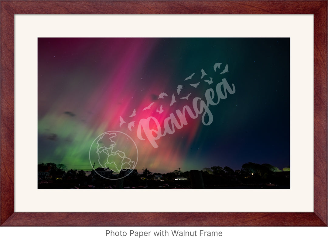 Wall Art: Dancing Aurora Borealis over Cape Cod