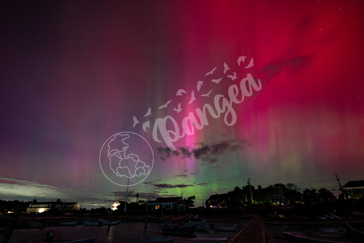 Wall Art: Northern Lights Over the Woods Hole Yacht Club