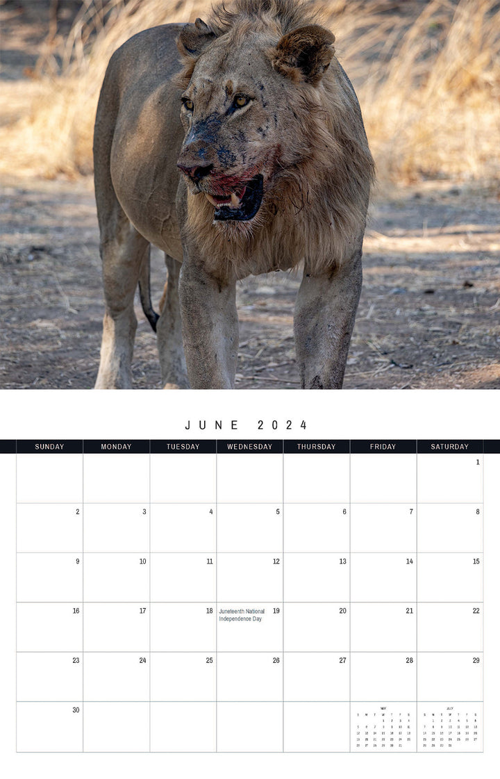 African Safari 2024 Calendar