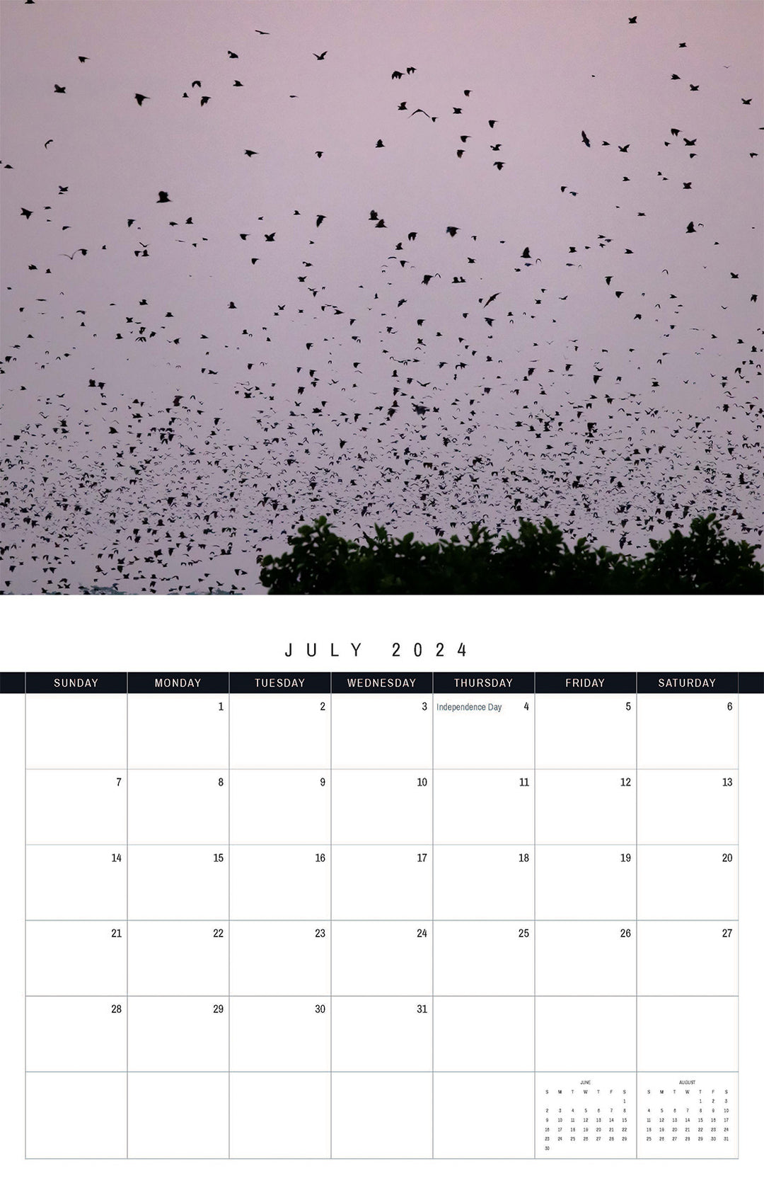 The Kasanka Bats 2024 Calendar
