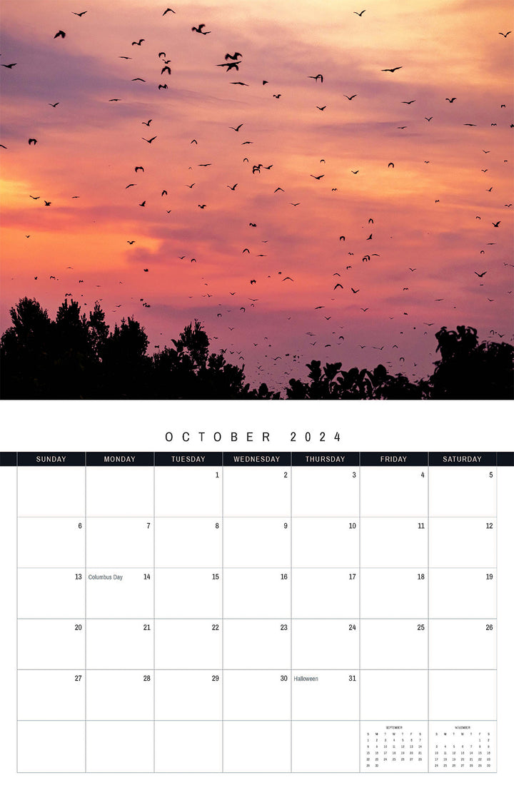 The Kasanka Bats 2024 Calendar