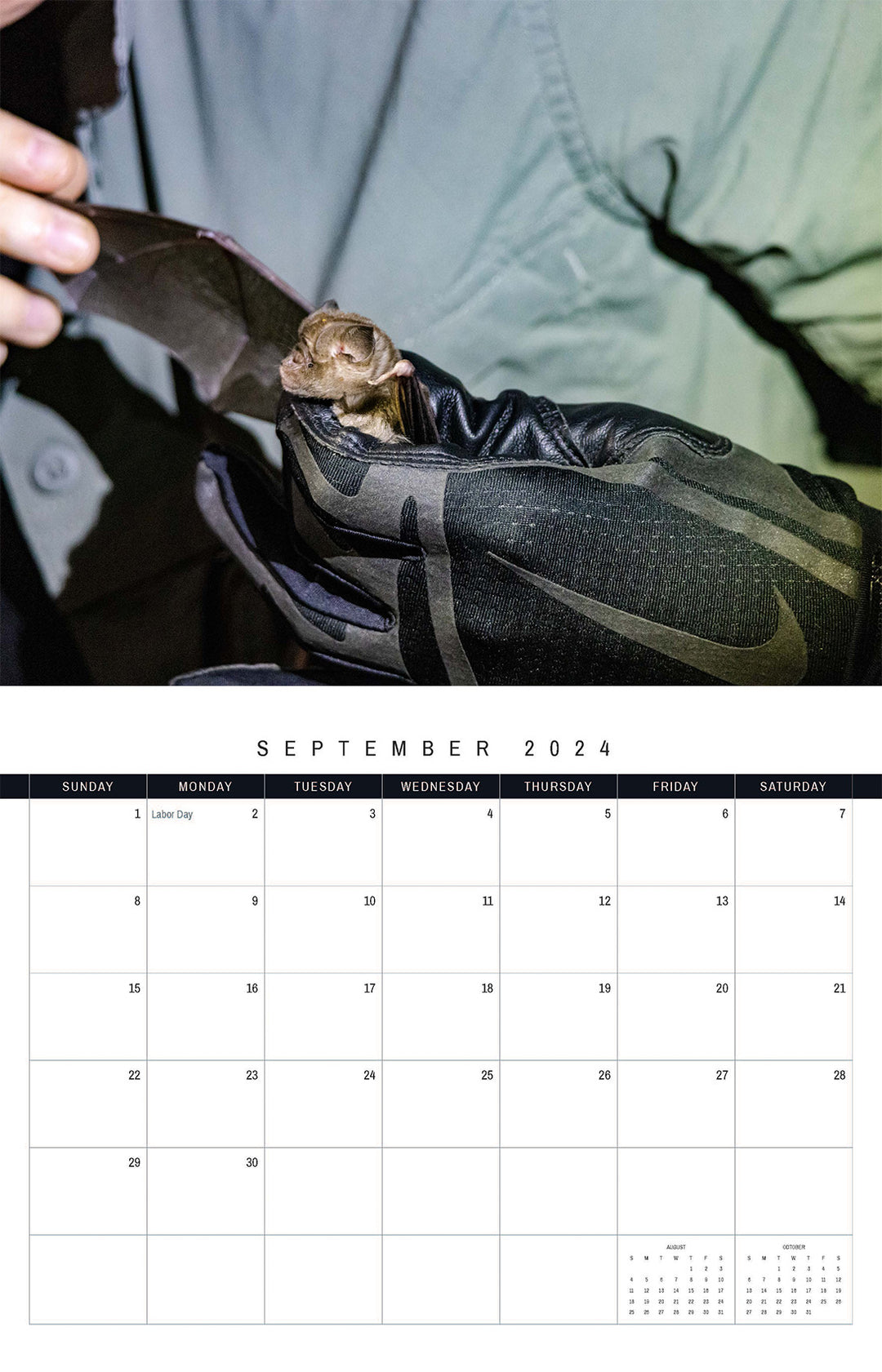 The Kasanka Bats 2024 Calendar