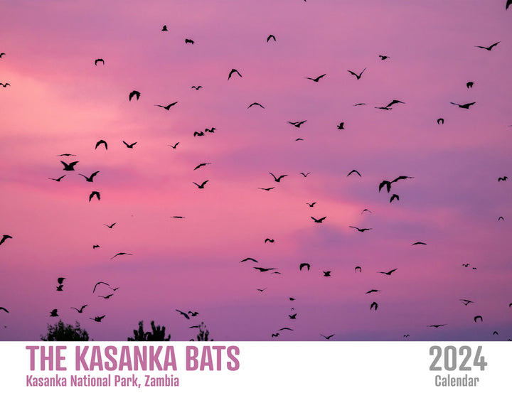 The Kasanka Bats 2024 Calendar