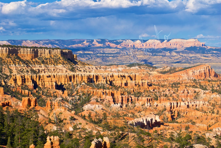 Wall Art: The Hoodoos at Bryce